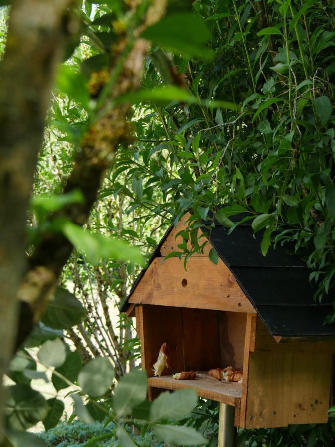 La Maison Des Oiseaux Vandrimare Bagian luar foto